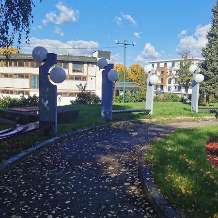 Apartment Ornament Lux Vrnjačka Banja Екстериор снимка